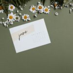 Aesthetic flat lay of a June calendar surrounded by white daisies on olive background.