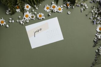 Aesthetic flat lay of a June calendar surrounded by white daisies on olive background.