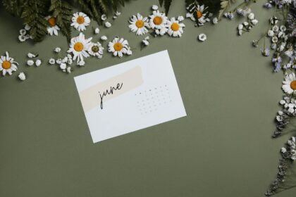 Aesthetic flat lay of a June calendar surrounded by white daisies on olive background.