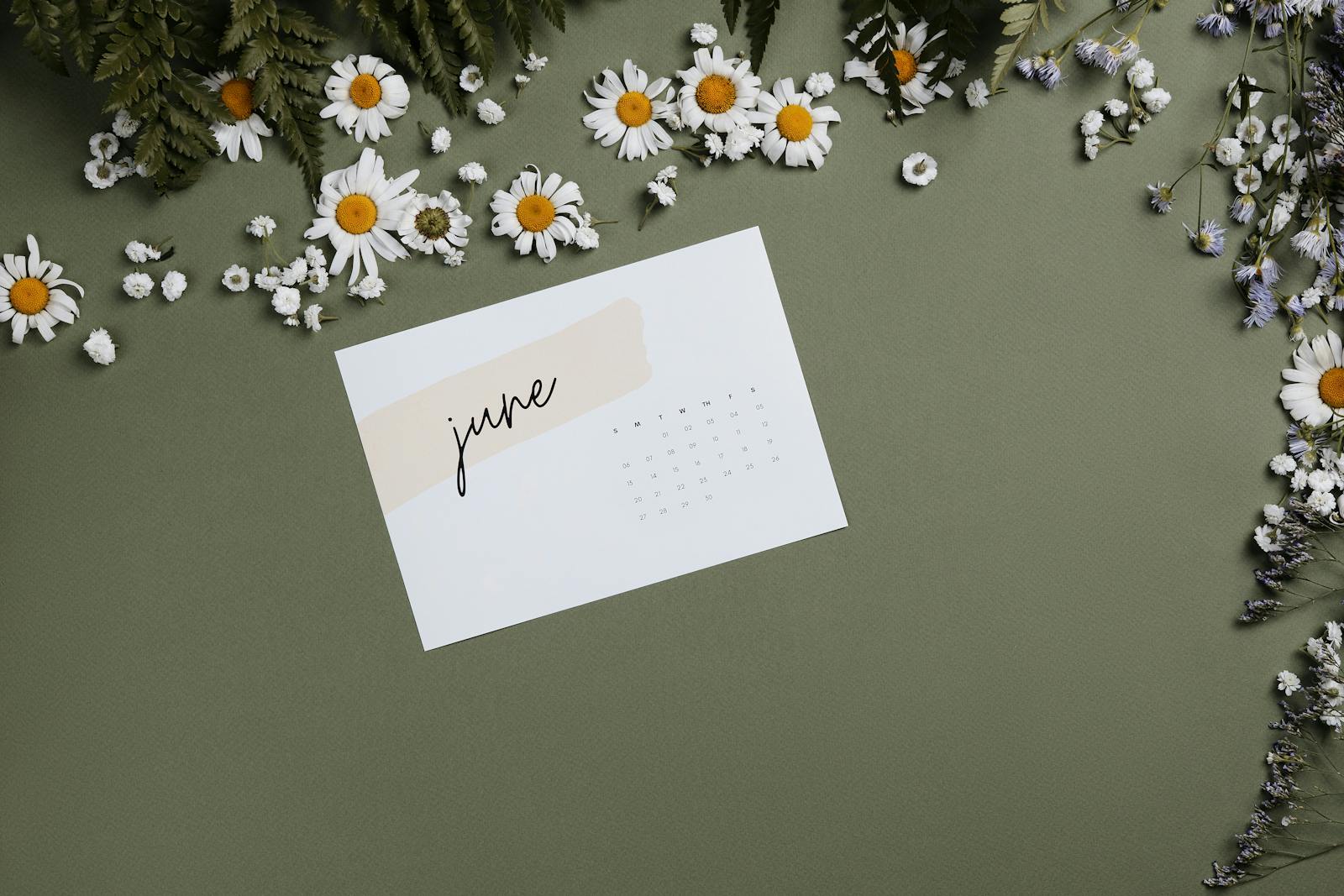 Aesthetic flat lay of a June calendar surrounded by white daisies on olive background.